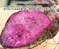 青空レストランで紹介された紫山芋