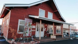 イチゴ農園　Chez Fraise（シェフレ）栃木県小山市　人生の楽園